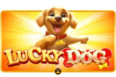 bdok9
